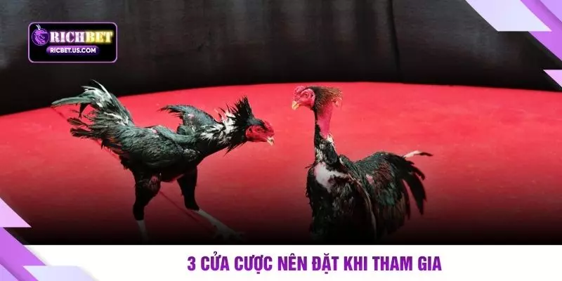 3 cửa cược nên đặt khi tham gia