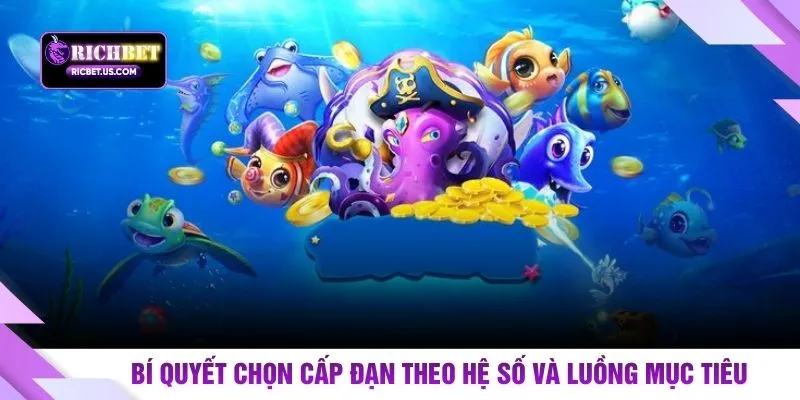Bí quyết chọn cấp đạn theo hệ số và luồng mục tiêu