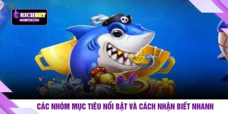 Các nhóm mục tiêu nổi bật và cách nhận biết nhanh