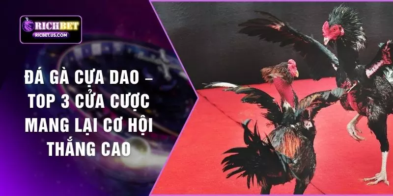 Đá Gà Cựa Dao – Top 3 Cửa Cược Mang Lại Cơ Hội Thắng Cao