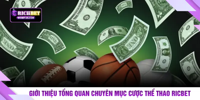 Giới thiệu tổng quan chuyên mục cược thể thao RICBET