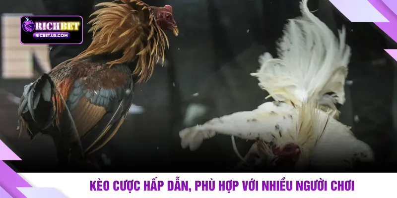 Kèo cược hấp dẫn, phù hợp với nhiều người chơi