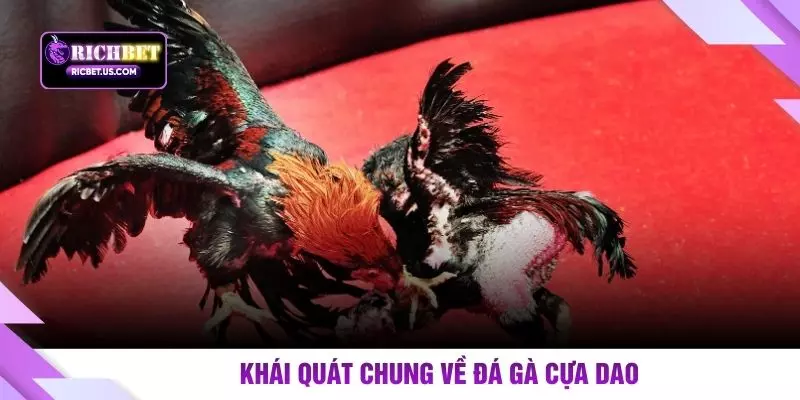 Khái quát chung về đá gà cựa dao