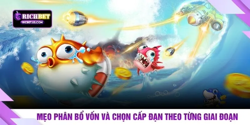 Mẹo phân bổ vốn và chọn cấp đạn theo từng giai đoạn
