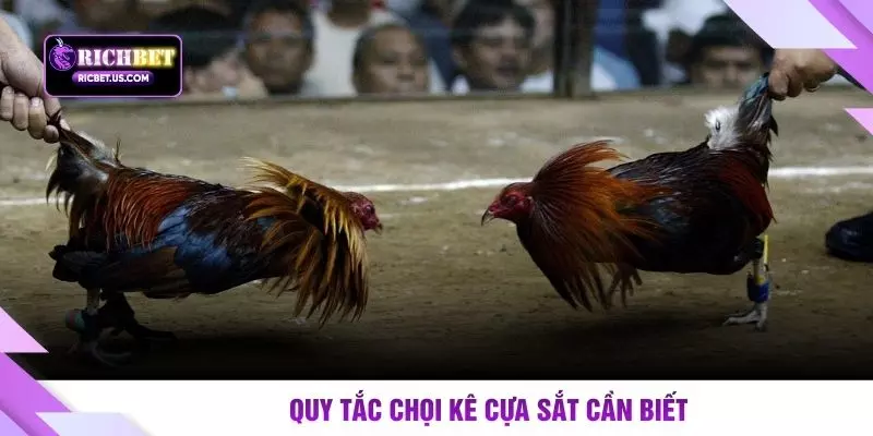 Quy tắc chọi kê cựa sắt cần biết